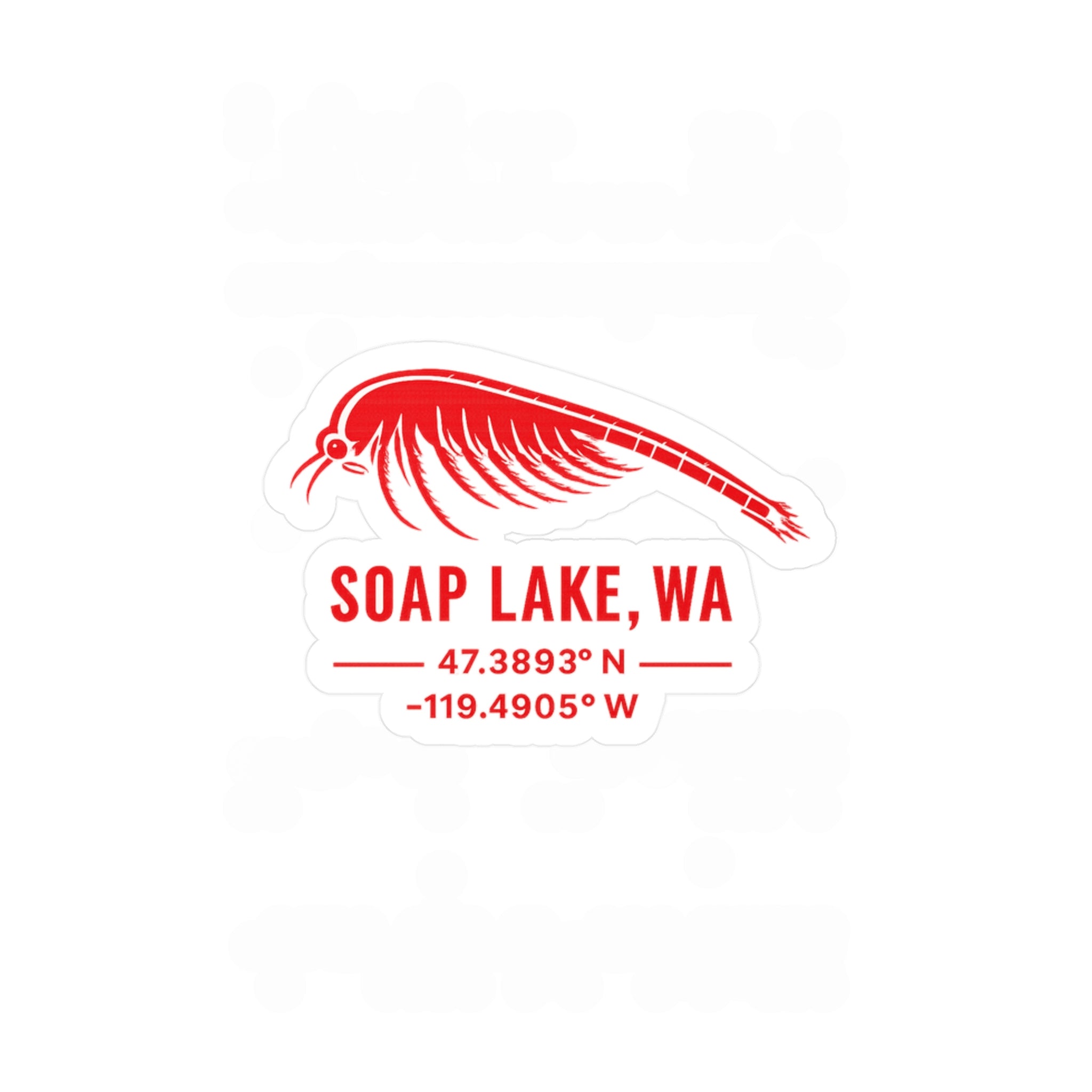 Vinyl Decal — Soap Lake, WA Fly Fishing Sticker with Coordinates